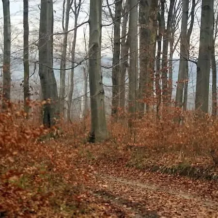 Zselici Barangolo Vendeghaz *