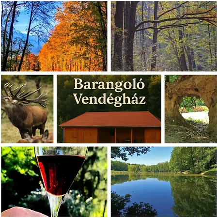 Zselici Barangolo Vendeghaz