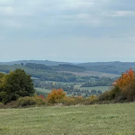 Zselici Barangoló *