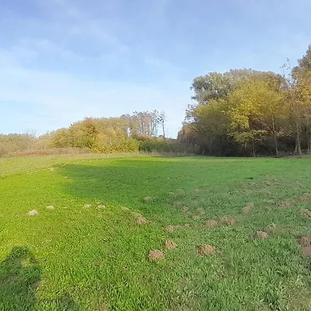 Zselici Barangoló Chalé Bárdudvarnok