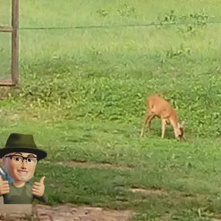 Zselici Barangolo Vendeghaz Σαλέ *