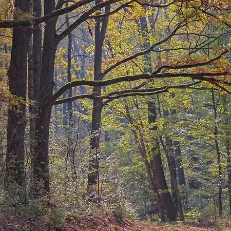 Zselici Barangoló * Bárdudvarnok