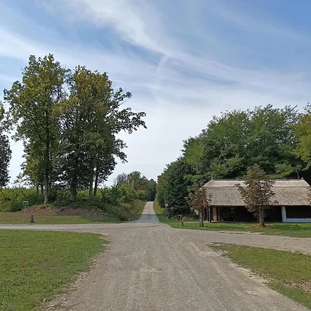 Zselici Barangoló *