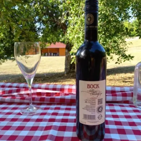 Zselici Barangolo Vendeghaz Σαλέ
