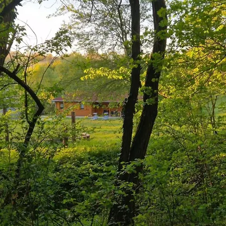 Zselici Barangolo Vendeghaz Σαλέ