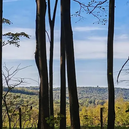 Zselici Barangoló Chalé *