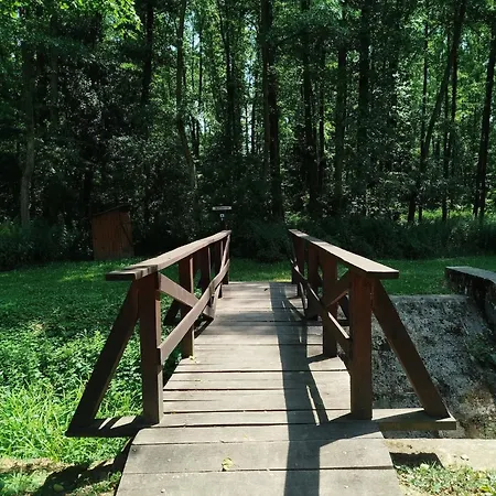 Zselici Barangoló